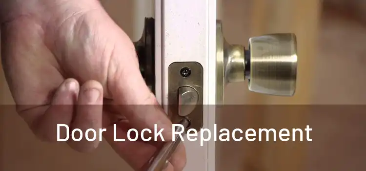  Door Lock Replacement 